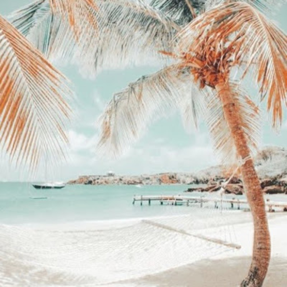 Meet your Posher, Lily